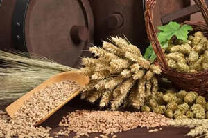 茅台酒原料用的小麦主要是哪里产的
