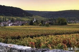 朗格多克-鲁西永大区佛杰尔和菲杜产区的葡萄酒简介