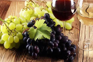 意大利葡萄酒和法国葡萄酒