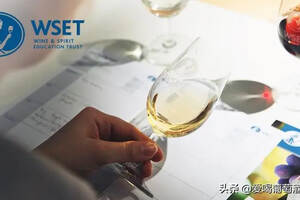 品酒师资格证书——WSET证书（wset三级品酒师证书）