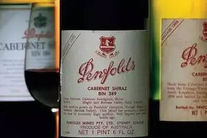 为什么奔富Bin 389是最具收藏价值的澳洲葡萄酒？