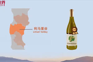 智利葡萄酒产区名