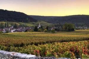 全球最大的法国布诺莱酒消费国