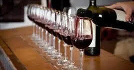 南非葡萄酒生产流程