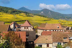法国阿尔萨斯的酒乡之旅，深度了解阿尔萨斯葡萄酒产区
