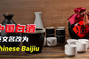 Chinese Baijiu 行走世界中国白酒官名定了（中国白酒英文名改为Chinese Baijiu）
