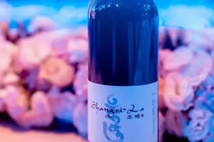 雪山之下，寻找心中的圣域-中国首款真正的单一园葡萄酒上市