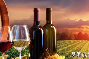 中法对照葡萄酒“万能”评语