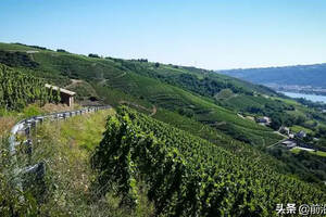 法国罗讷河流域的克里叶堡和迪城-克雷耶特产区的葡萄酒简介