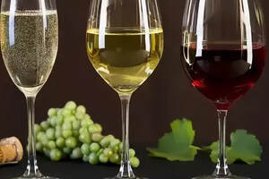 葡萄酒是如何分类的