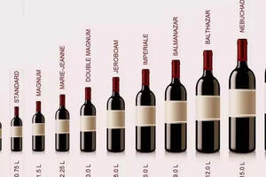 世界上最大的一瓶葡萄酒可以倒200杯，最小的只能倒1杯！