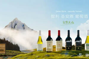 张裕旗下智利圣安雅酒庄新品发布，启动全国招商