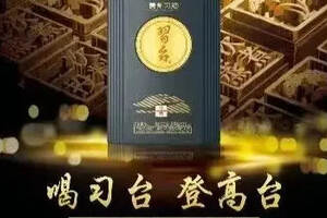 53%vol习台酒·珍品～贵州茅台酒厂集团习酒有限责任公司