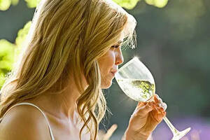 世界上最好的白葡萄酒产区沙布利(CHABLIS)，勃艮第沙布利葡萄酒
