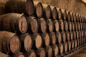 旧世界葡萄酒产区的特点有哪些