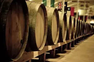 朱卫东：葡萄酒的酿造过程