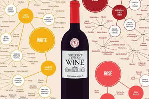 红酒分类的基本知识介绍