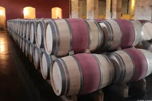 葡萄酒酿造中的传统浸渍