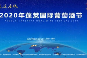 国际葡萄酒节