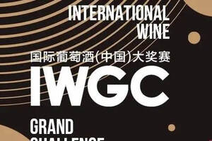 独家重磅！2019IWGC获奖榜单揭晓，颁奖礼11月8日广州举行