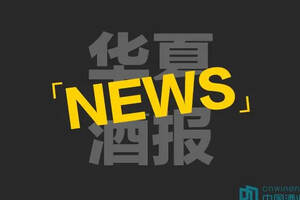 丽鹏股份：2019年度净利润增加 104.48%