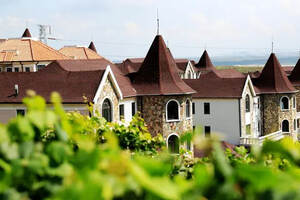 葡萄酒小镇景观