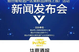 今天上午10点，新华社现场云：“烟台葡萄酒产区集群品牌”线上推广活动新闻发布