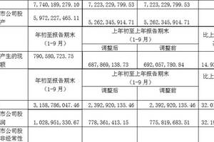 燕京啤酒股份有限公司近三年财务报表分析