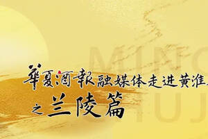 兰陵美酒：打造中华第一历史文化名酒