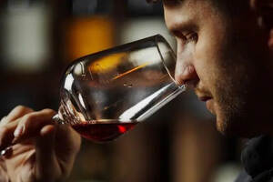 闻香识酒是品鉴葡萄酒的重要步骤，嗅觉感官功能的科学