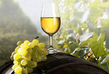 法国葡萄酒产区及名品