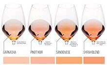 玫瑰红葡萄酒的4个顶级品种
