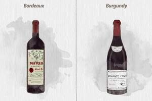 波尔多和勃艮第红酒区别