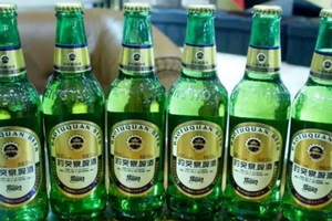 趵突泉啤酒500ml12罐