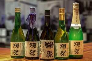 日本清酒獭祭价格