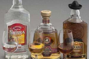 龙舌兰是什么酒又叫什么，源自墨西哥的蒸馏酒又叫Tequila特基拉
