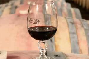 黑葡萄酒是什么酒什么原料酿制的，马尔贝克酿制的红酒色黑如墨