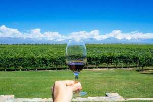 阿根廷门多萨葡萄酒产区特点，是世界上最好的马尔贝克无人能及