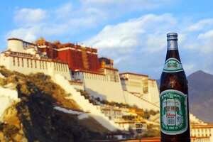 西藏青稞啤酒卖的怎么样