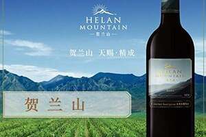 贺兰山葡萄酒创始人是刘金启吗