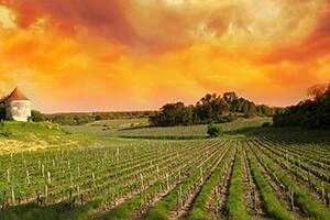 波尔多产区葡萄酒旅游发展