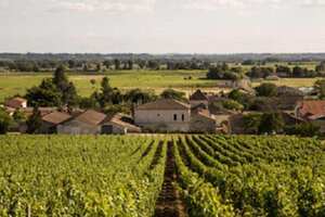 法国著名葡萄酒酒庄及代表葡萄酒