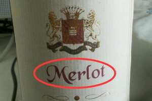 帕拉丁 merlot红酒