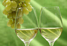 酿造波尔多白葡萄酒的三大品种