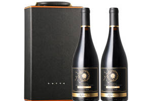 智利阿波罗莫来山珍藏西拉干红葡萄酒750mlx2瓶礼盒装价格多少钱？