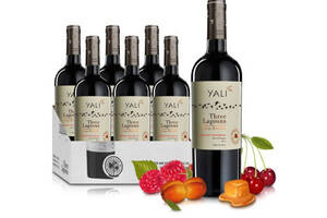 智利冰川集团雅立YALI鸿雁赤霞珠干红葡萄酒750ml6瓶整箱价格多少钱？
