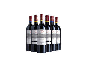 法国波尔多萨尔城堡红葡萄酒
