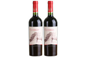 智利雷司加查普山谷产区赤霞珠干红葡萄酒750mlx2瓶礼盒装价格多少钱？