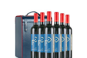 西拉子干红葡萄酒价格2013