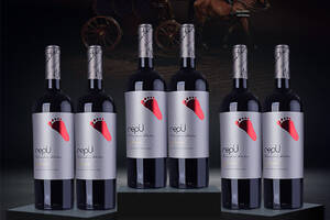 智利伊桐酿酒师卡曼尼/佳美娜脚印干红葡萄酒750ml一瓶价格多少钱？